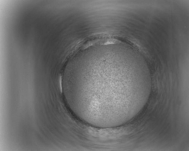 X0000058120022200510071951