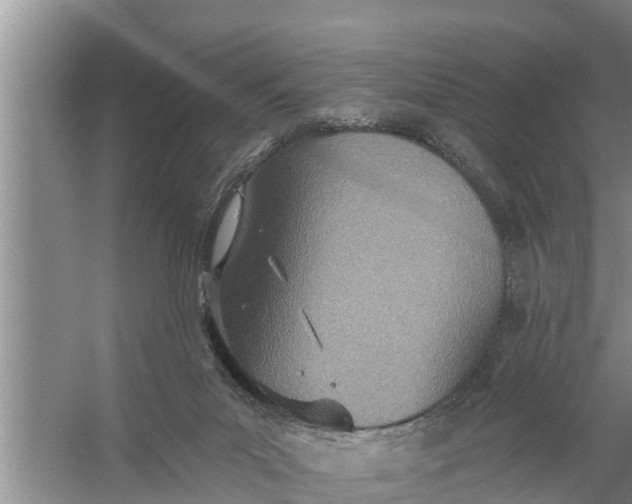 X0000058120023200510071951