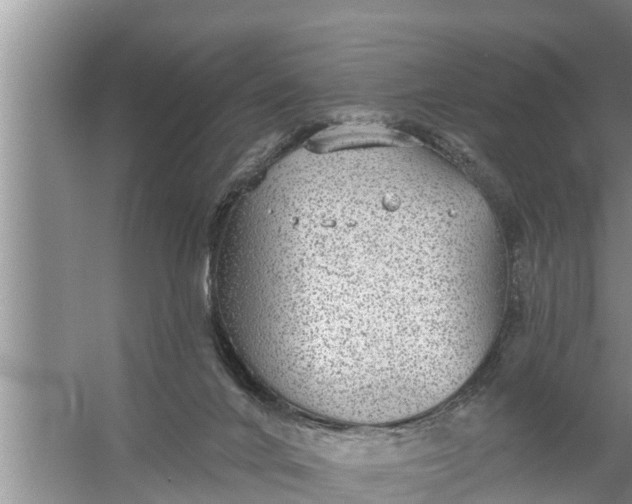 X0000058120024200510071951