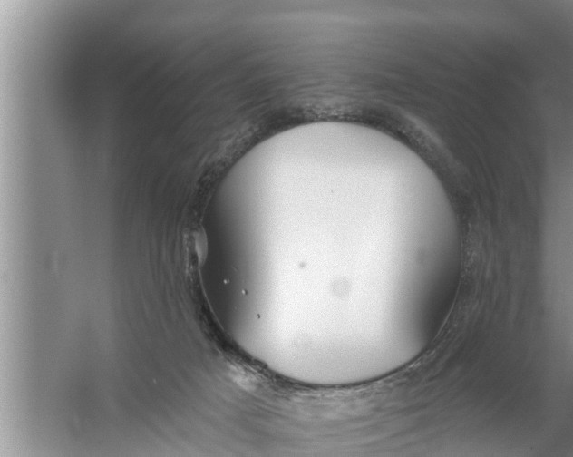 X0000058120025200510071951