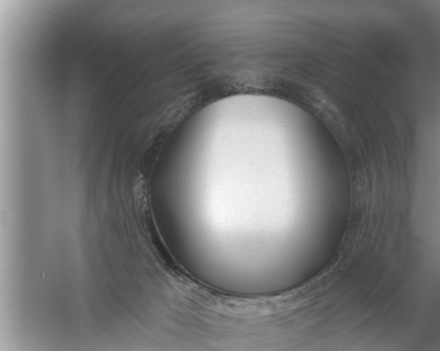 X0000058120029200510071951