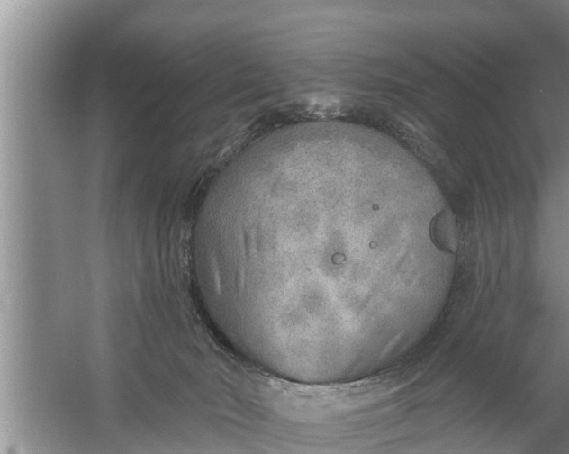 X0000058120030200510071951