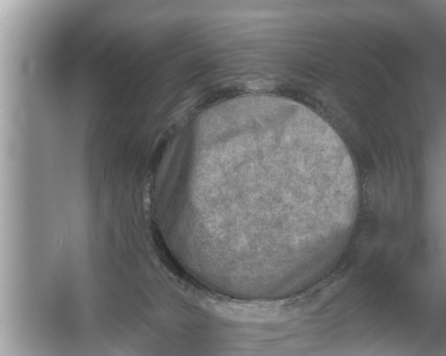 X0000058120032200510071951