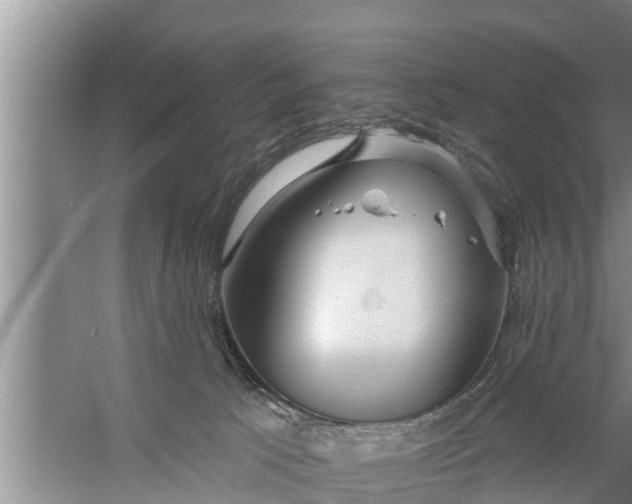 X0000058120033200510071951