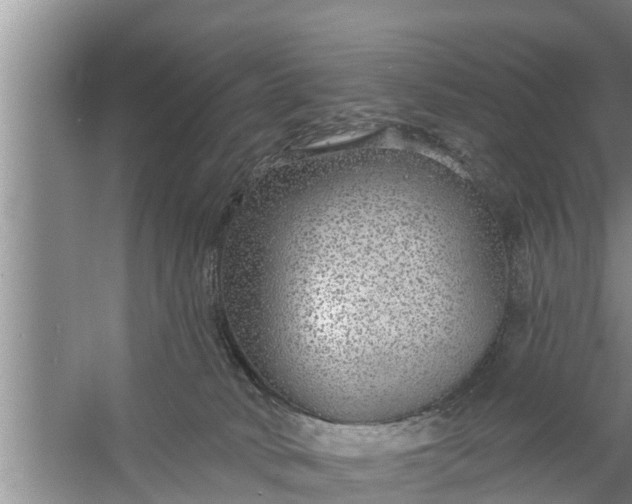 X0000058120034200510071951