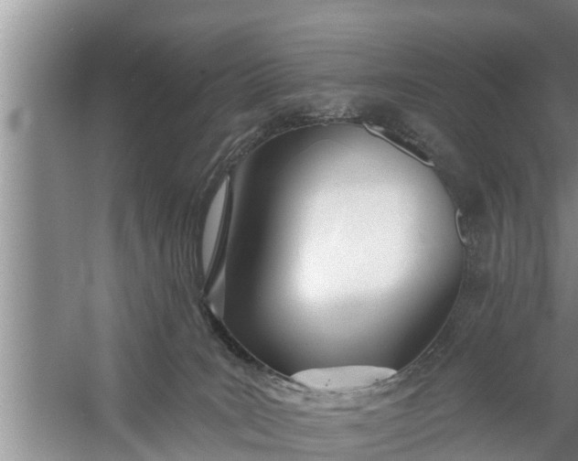 X0000058120035200510071951