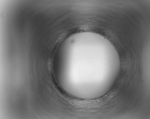 X0000058120036200510071951