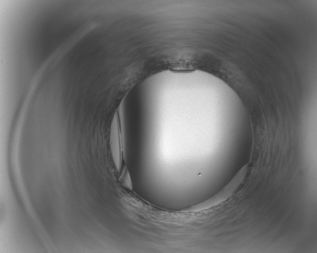 X0000058120037200510071951