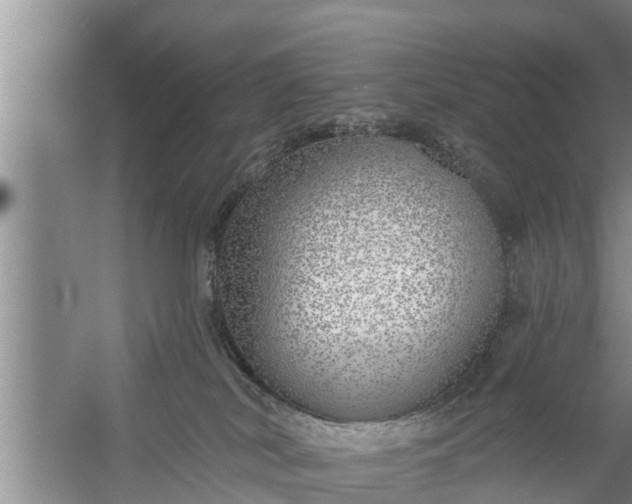 X0000058120038200510071951