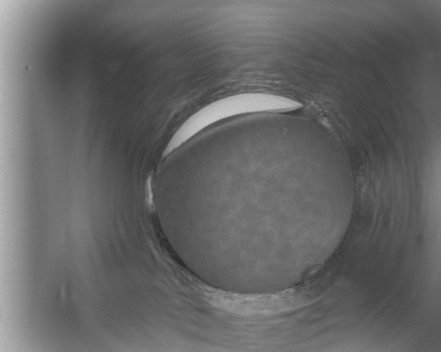 X0000058120042200510071951