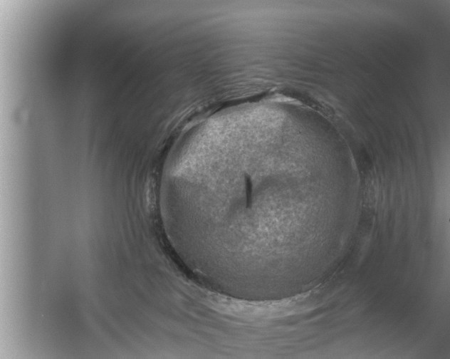 X0000058120043200510071951