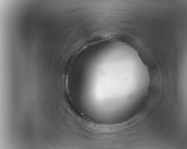 X0000058120044200510071950