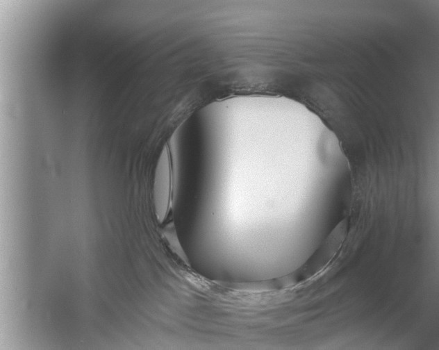 X0000058120045200510071950