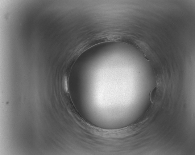 X0000058120046200510071950