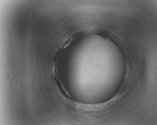 X0000058120048200510071950