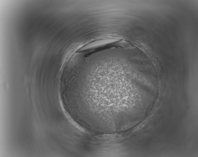 X0000058120049200510071950