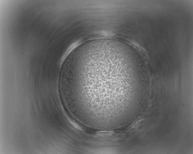 X0000058120051200510071950