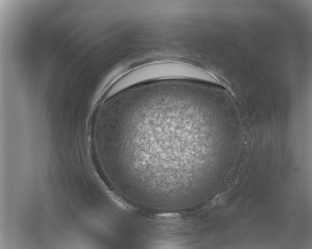 X0000058120053200510071950