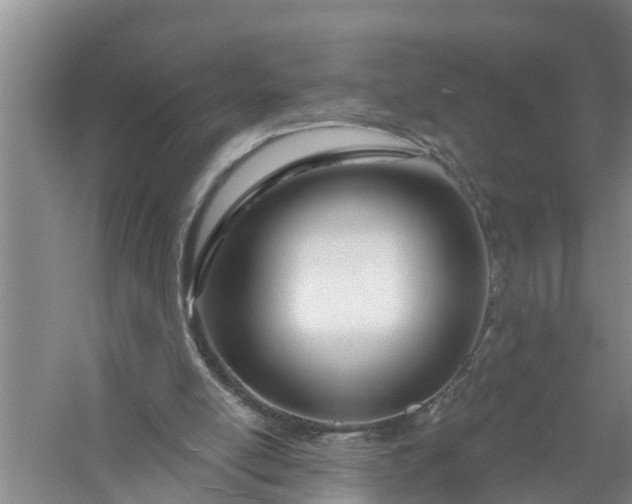 X0000058120054200510071950