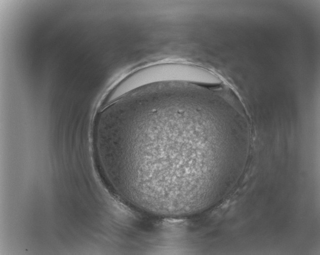 X0000058120055200510071950