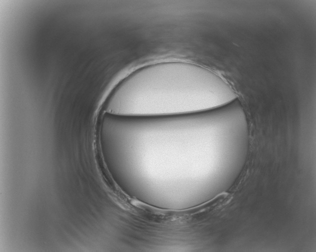 X0000058120056200510071950