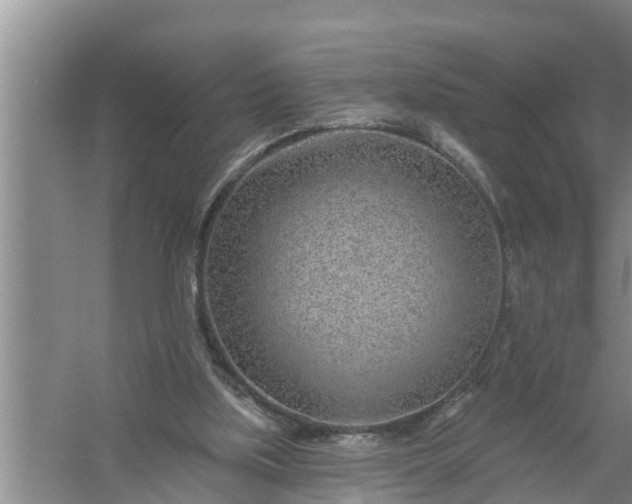 X0000058120059200510071950