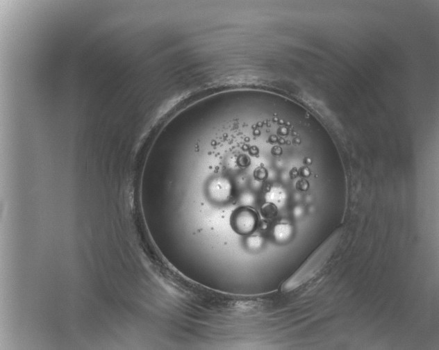 X0000058120060200510071950