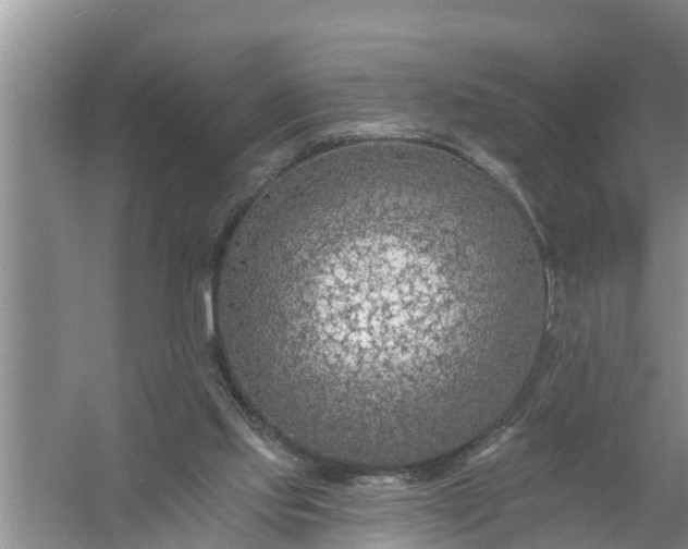 X0000058120061200510071950