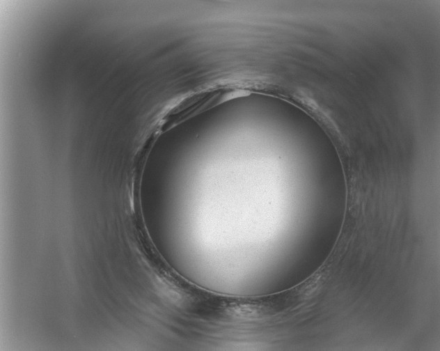 X0000058120062200510071950