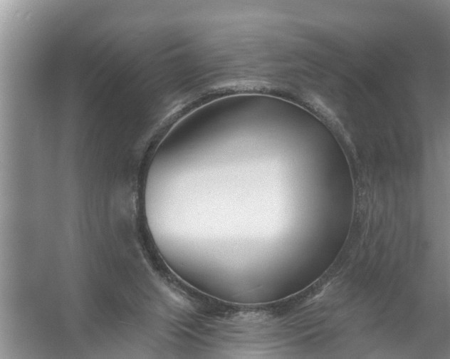 X0000058120063200510071950