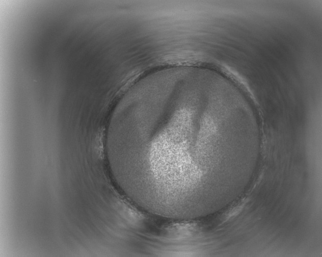 X0000058120065200510071950