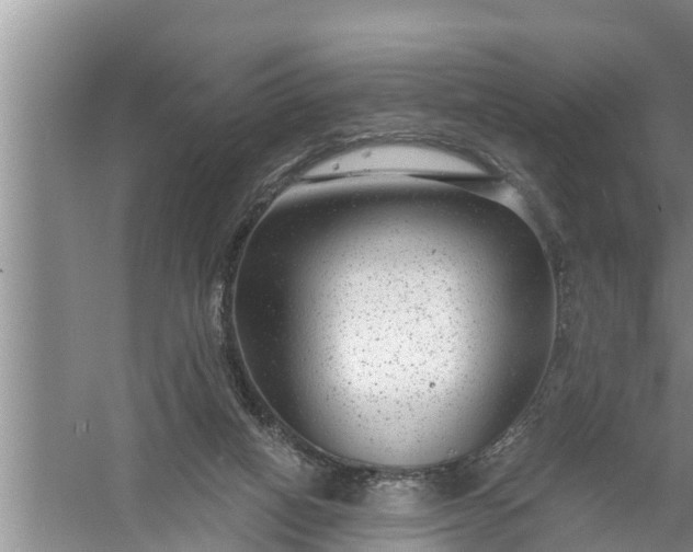 X0000058120066200510071950