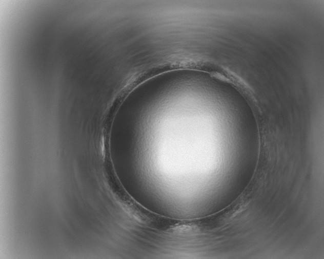 X0000058120067200510071950