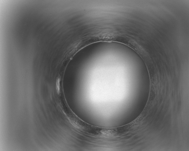 X0000058120070200510071950