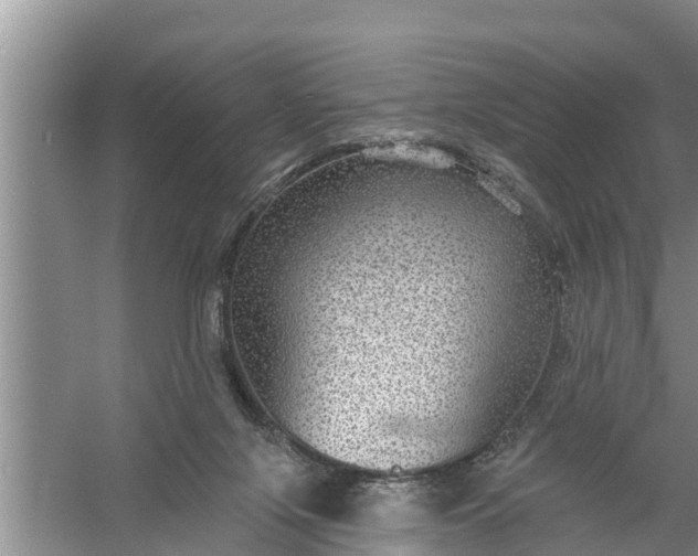 X0000058120071200510071950