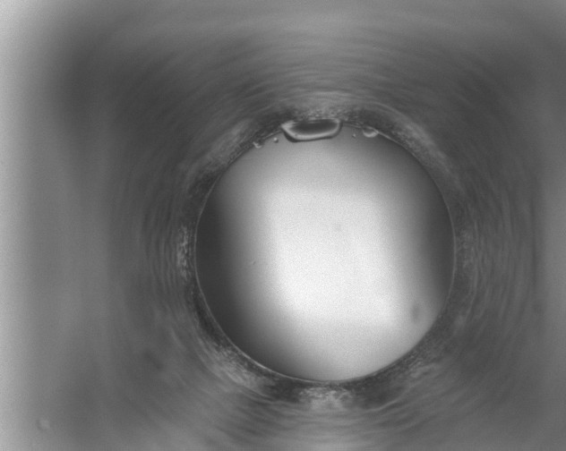 X0000058120073200510071950