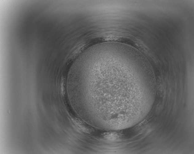 X0000058120074200510071950