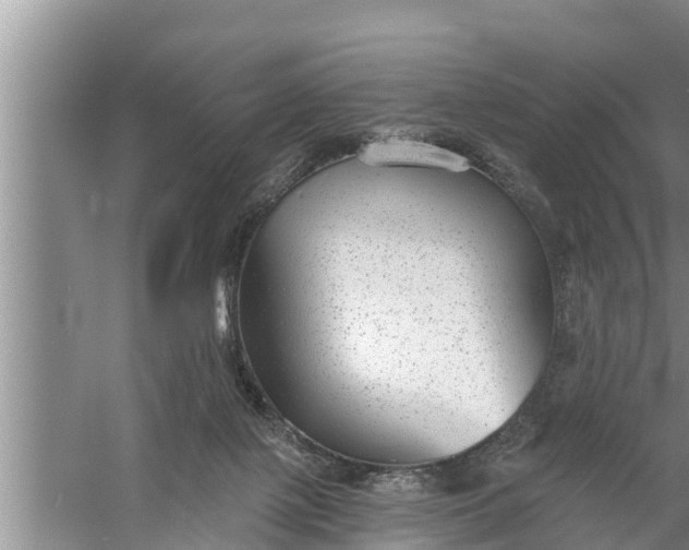 X0000058120075200510071950