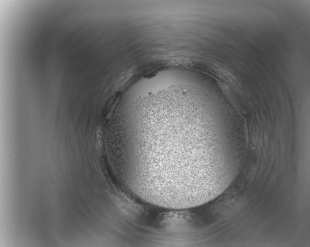 X0000058120077200510071950