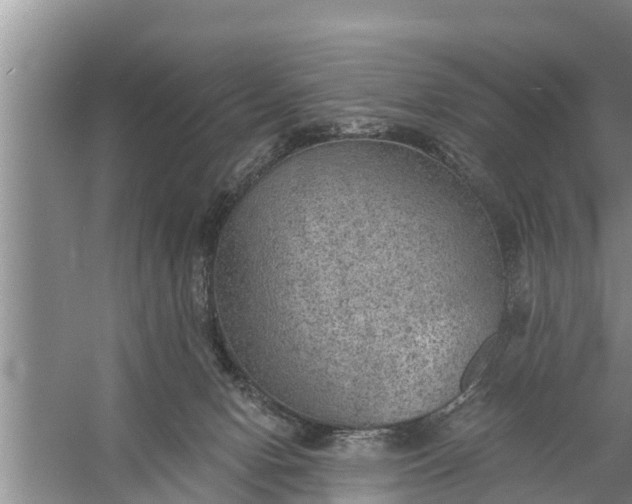 X0000058120078200510071950