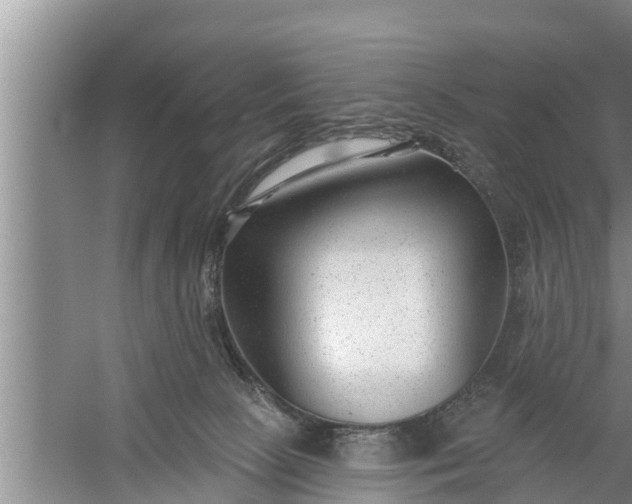 X0000058120081200510071950