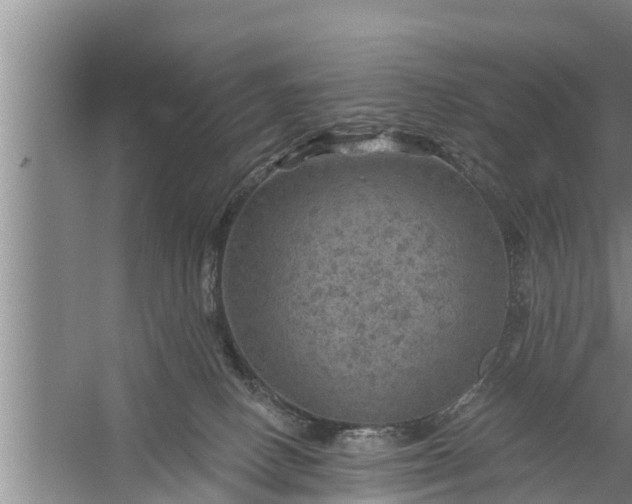 X0000058120082200510071950