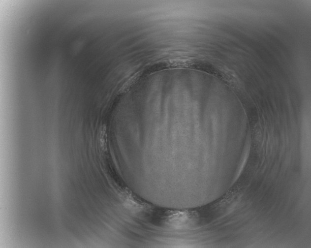 X0000058120083200510071950