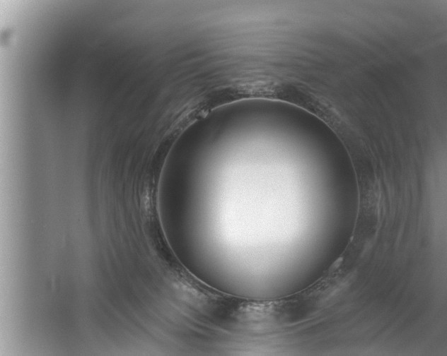 X0000058120084200510071950