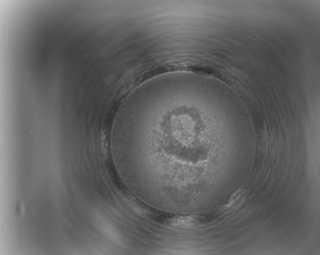 X0000058120086200510071950