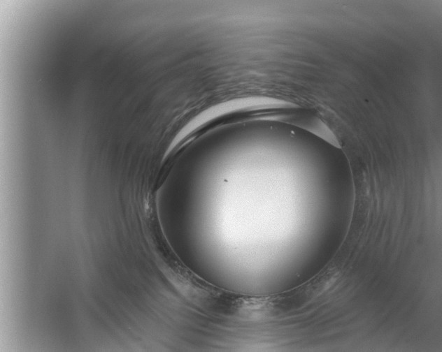 X0000058120088200510071950