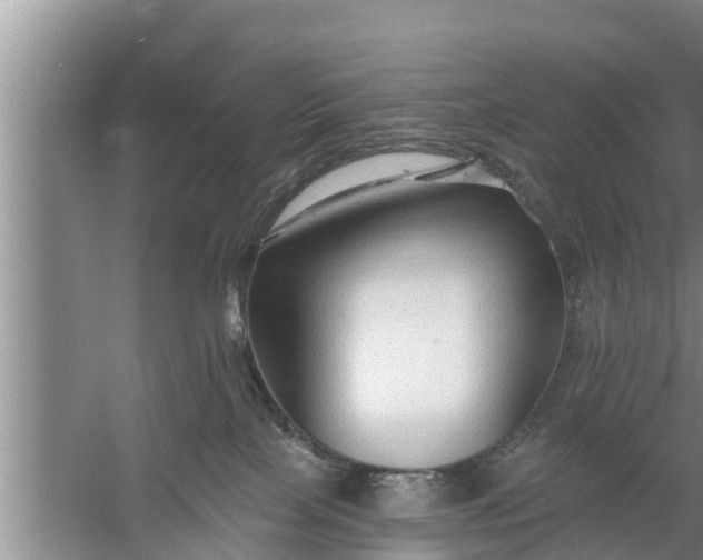 X0000058120089200510071950