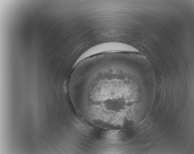 X0000058120090200510071950