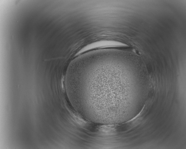 X0000058120094200510071950