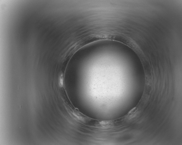 X0000058120095200510071950